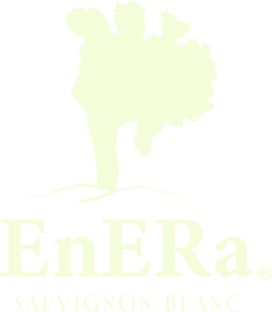 EnEra Sauvignon Blanc